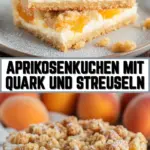Aprikosenkuchen mit Quark und Streuseln 17 Pinterest Hidden Image