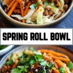 Spring Roll Bowl 18 Pinterest Hidden Image